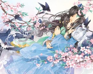 夜来香研究所app